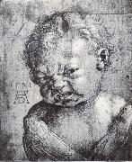 Albrecht Durer Head of a Weeping cherub France oil painting artist